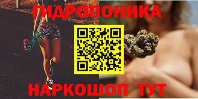 прущие грибы Владивосток